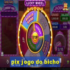 pix jogo do bicho